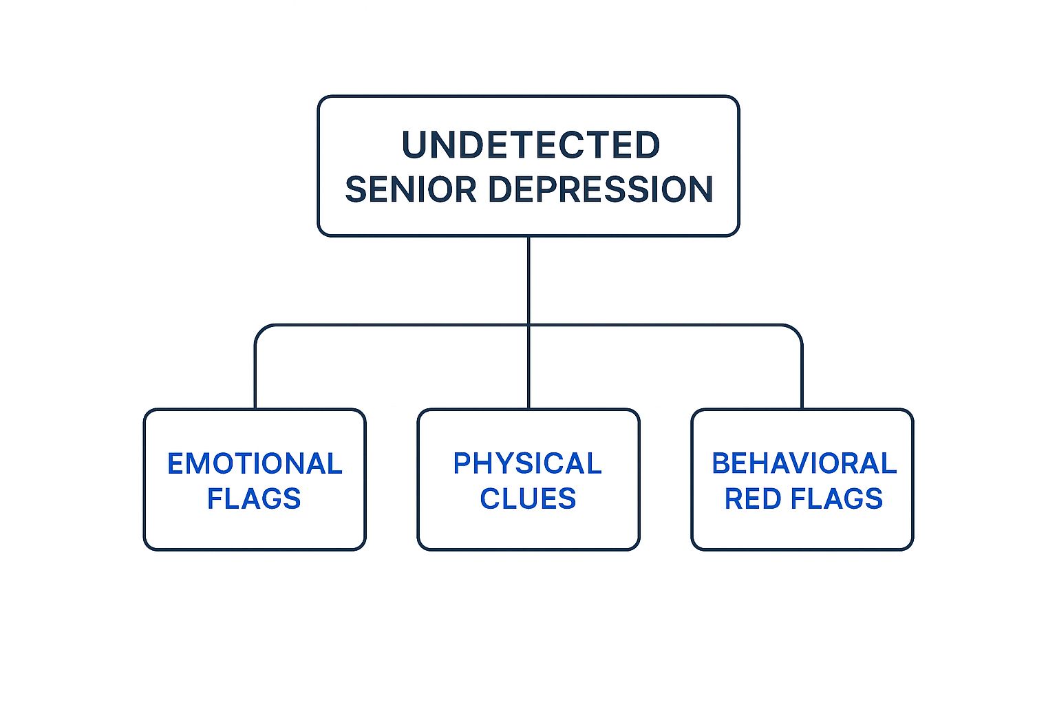 Infographic about signs of depression in seniors