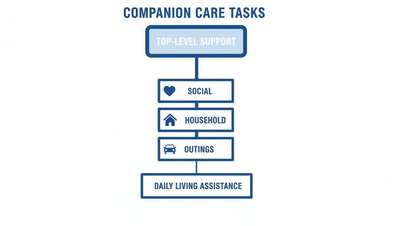 Flowchart outlining companion care tasks, including top-level support, social, household, outings, and daily living assistance.