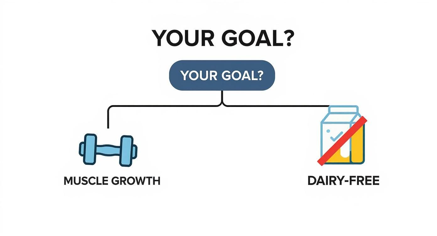 Flowchart diagram showing two fitness goal options: muscle growth with dumbbells and dairy-free with milk carton