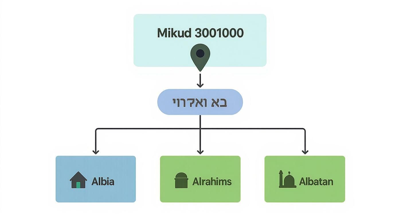 תרשים המציג מיקוד 3001000 ואת היישובים הקשורים אליו: בא ואקרווי, אלביא, אלרחימס ואלבטאן.
