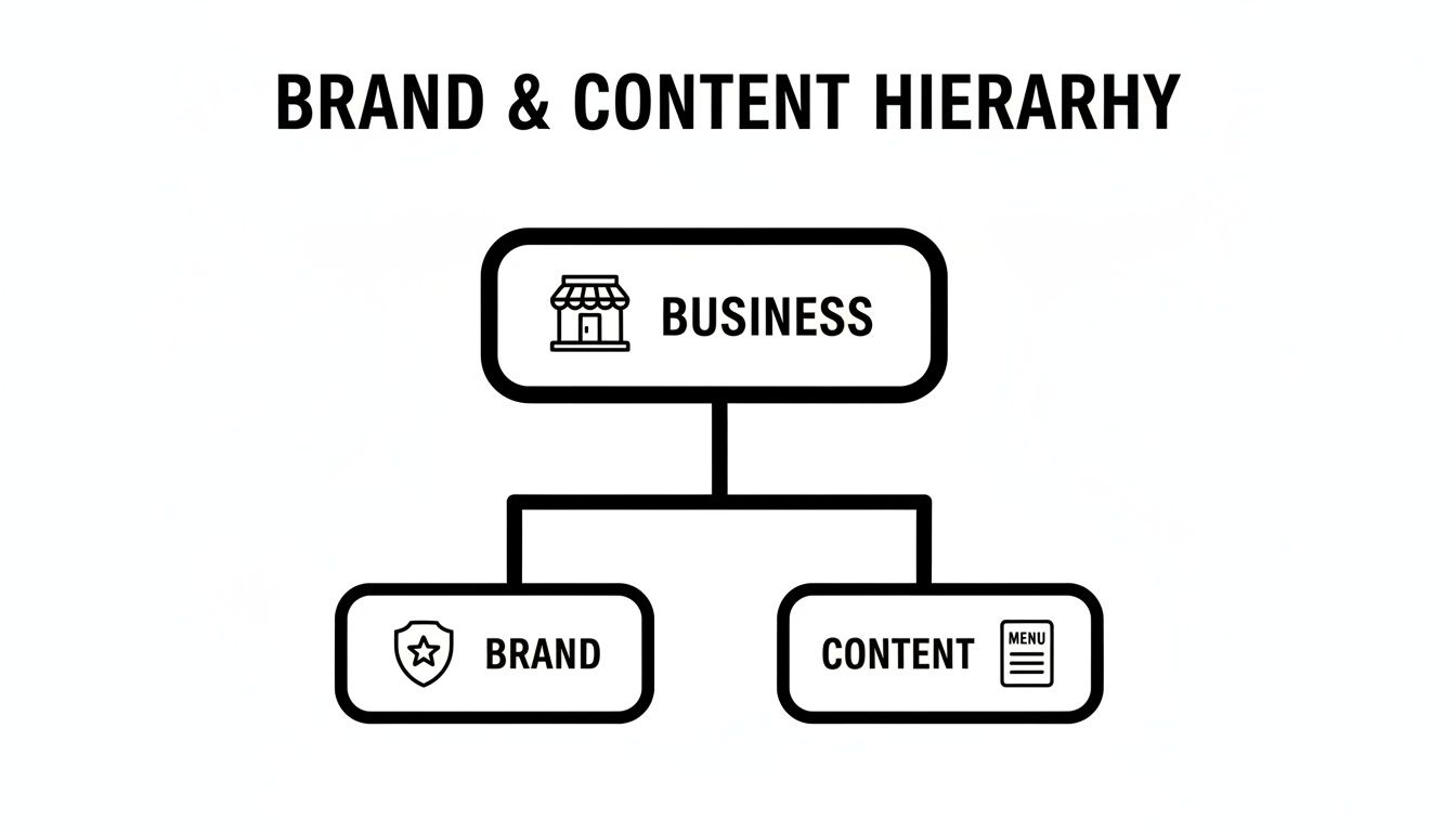 A hierarchical diagram illustrating Business at the top, branching into Brand and Content.