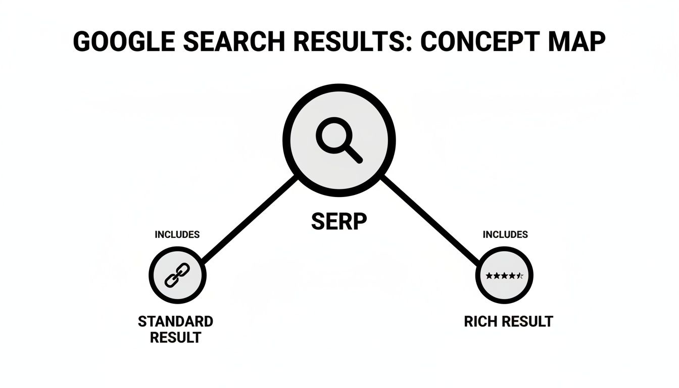 A concept map showing Google Search Results (SERP) includes Standard Results and Rich Results.