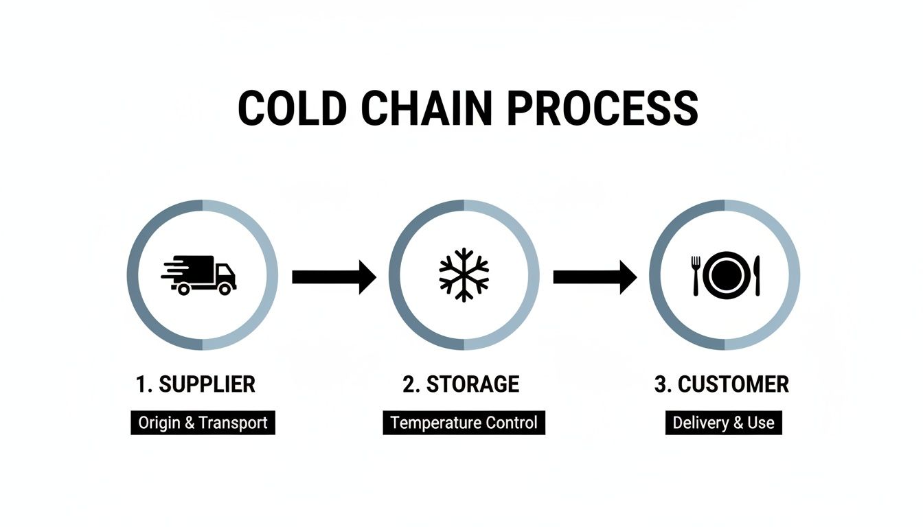 Diagram illustrating the cold chain process steps from supplier transport to storage and customer use.