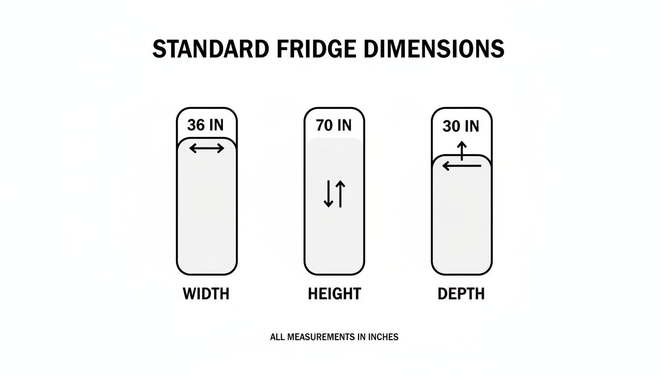 Diagram illustrating standard refrigerator dimensions including 36 inch width, 70 inch height, and 30 inch depth.