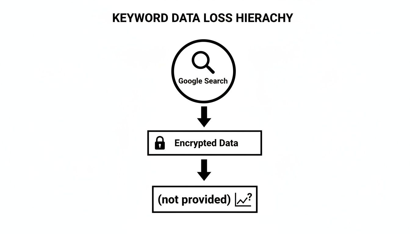 A flowchart titled 'Keyword Data Loss Hierarchy' showing Google Search leading to encrypted data, then to '(not provided)' keywords.