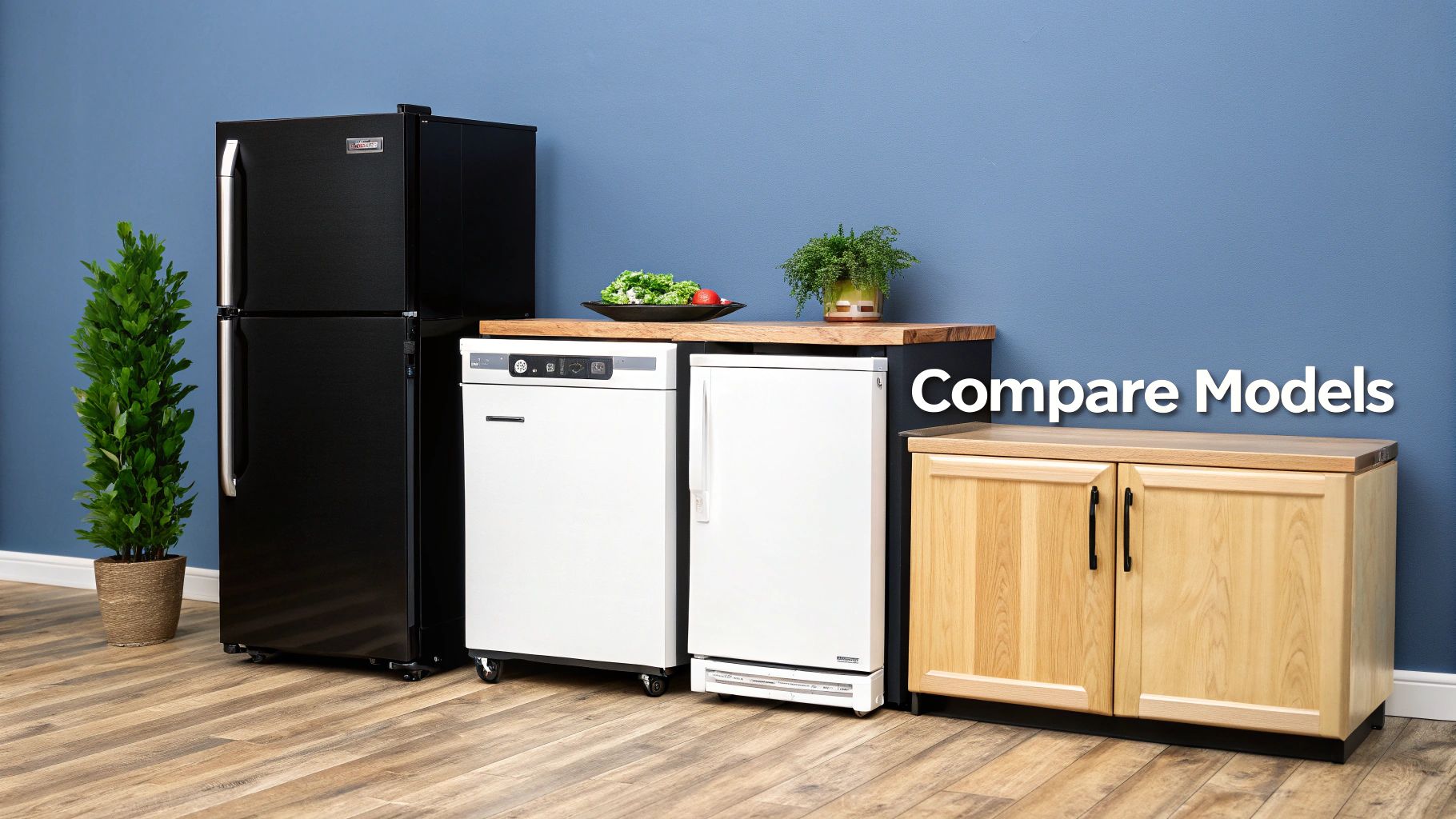 Various kitchen appliances including a black refrigerator, white dishwasher, compact fridge, and wood cabinets.