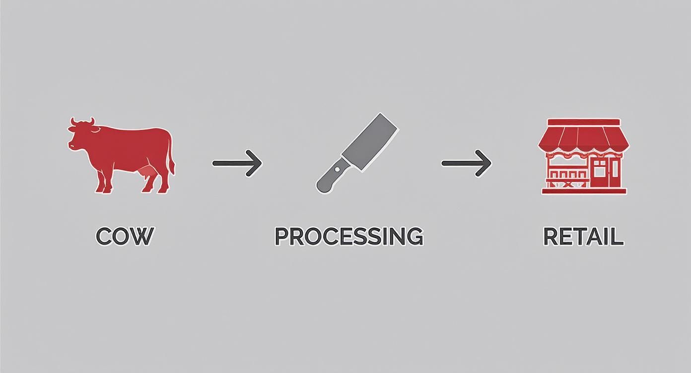 A diagram showing the meat supply chain: a cow, an arrow, a cleaver for processing, an arrow, and a retail store.