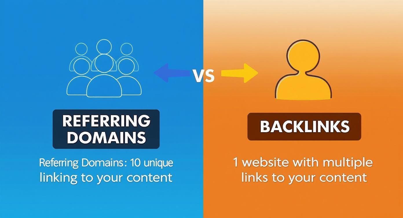 Infographic comparing referring domains (unique sources) versus backlinks (multiple links from one website) for SEO.