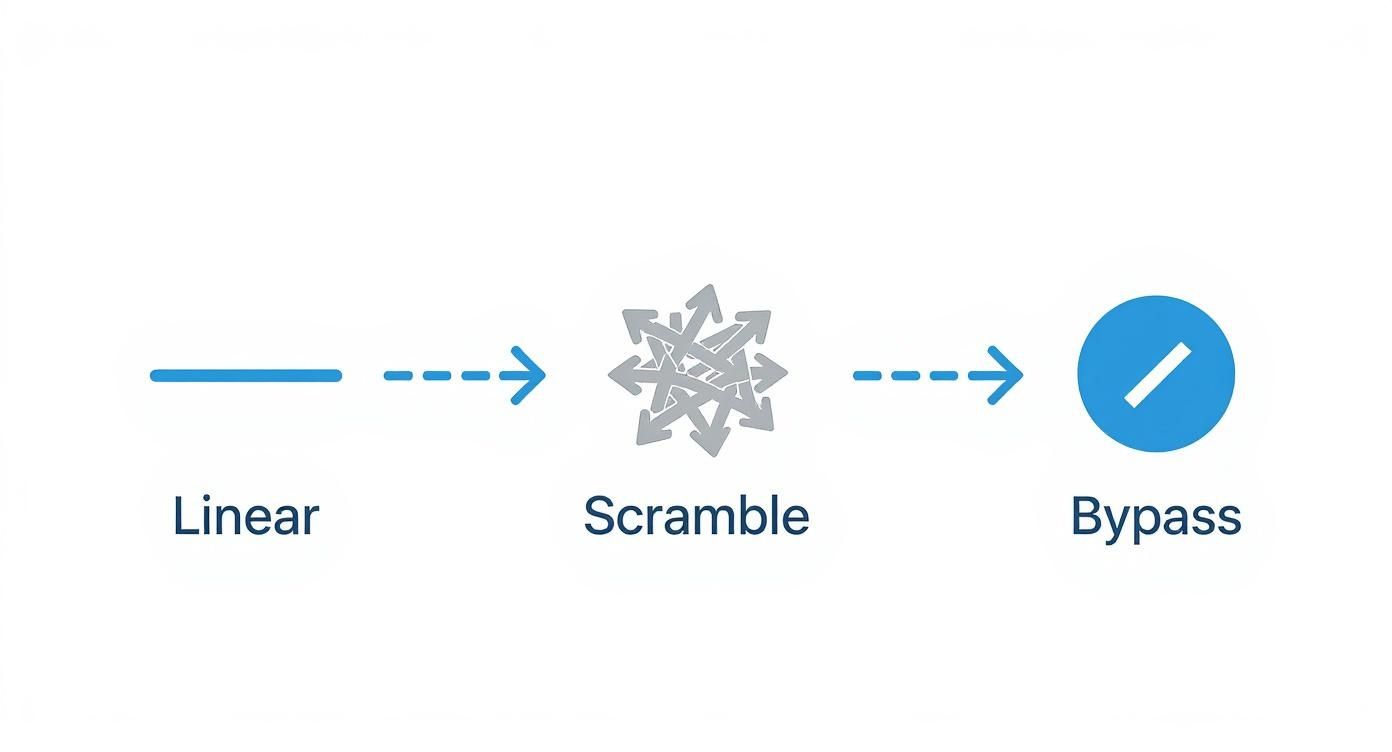 Diagram illustrating a conceptual process flow from linear organization, through a scrambled state, to a bypass.