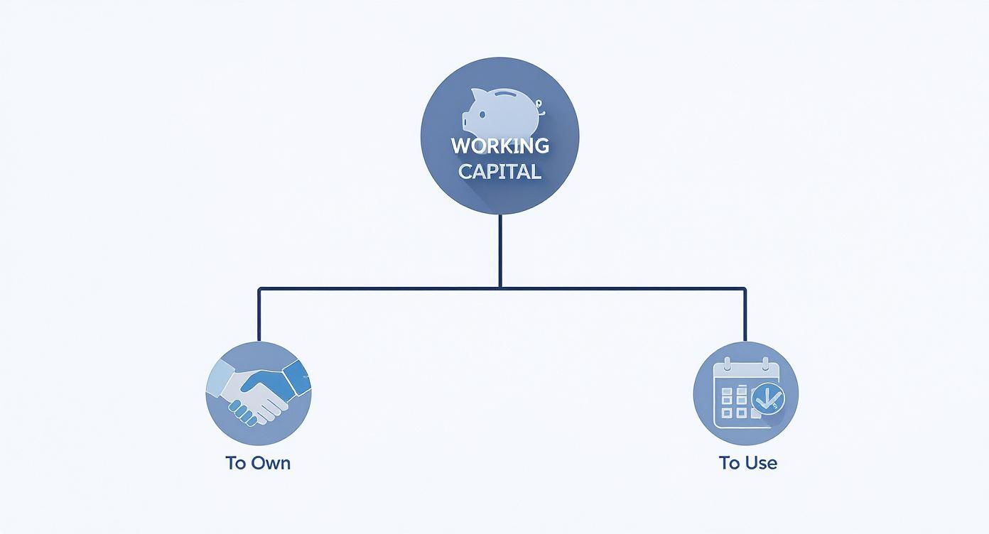 Infographic about finance restaurant equipment