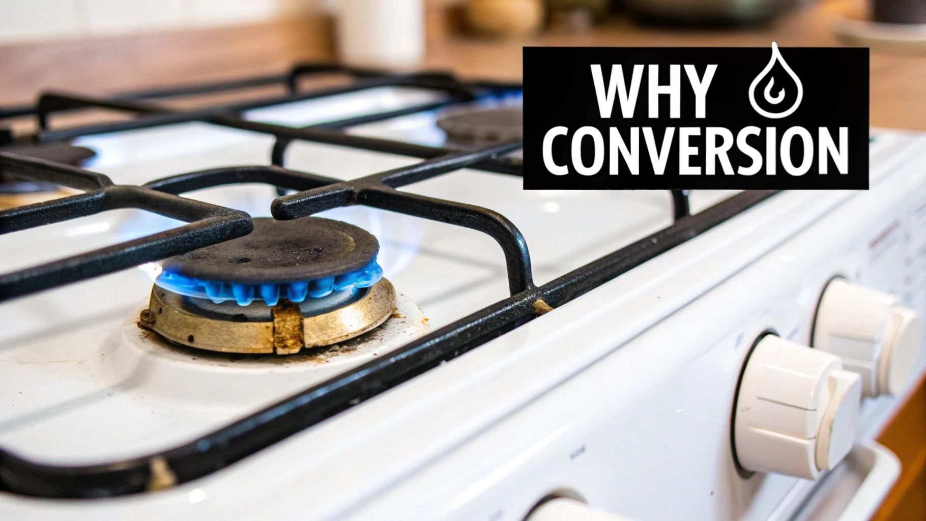 Close-up of a gas stove burner with a blue flame, next to text 'WHY CONVERSION' and a droplet icon.