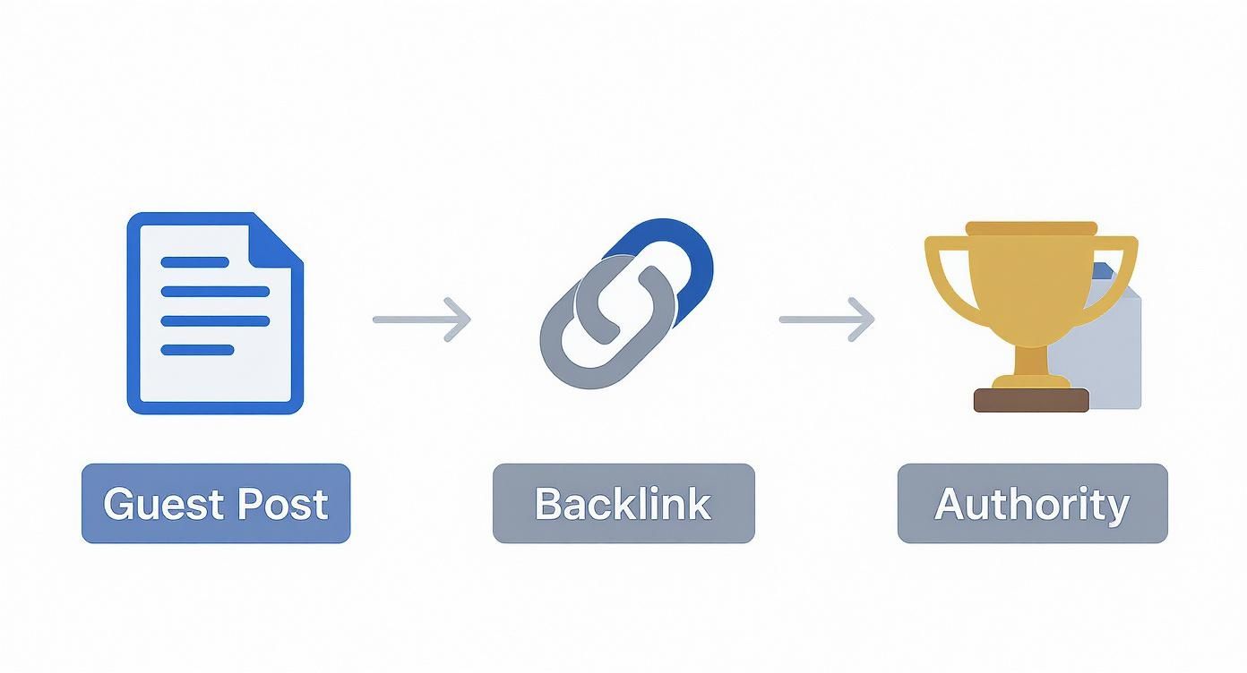 Guest post process flowchart showing document leading to backlink creation and building website authority