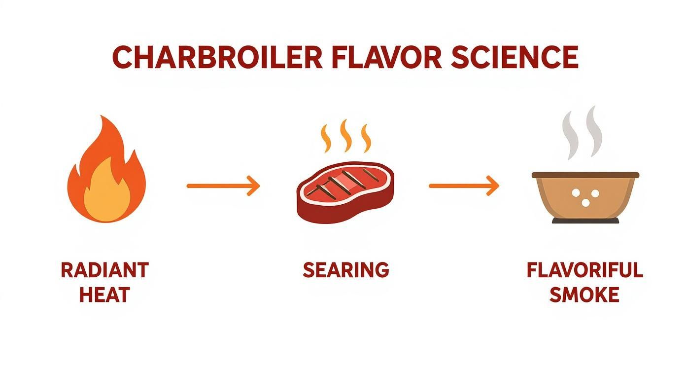 Charbroiler flavor science diagram showing radiant heat creating searing and flavorful smoke on meat