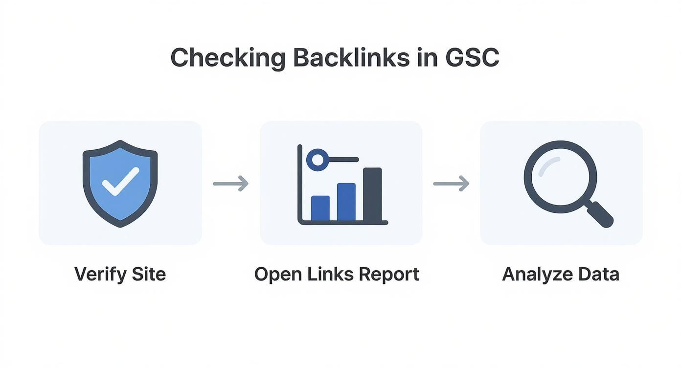 Infographic about how to check backlinks on google