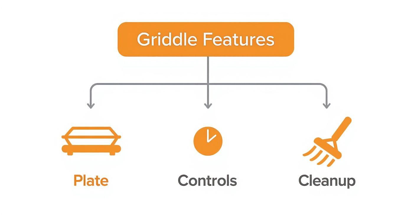 A diagram titled 'Griddle Features' showing three categories: Plate, Controls (clock icon), and Cleanup (broom icon).
