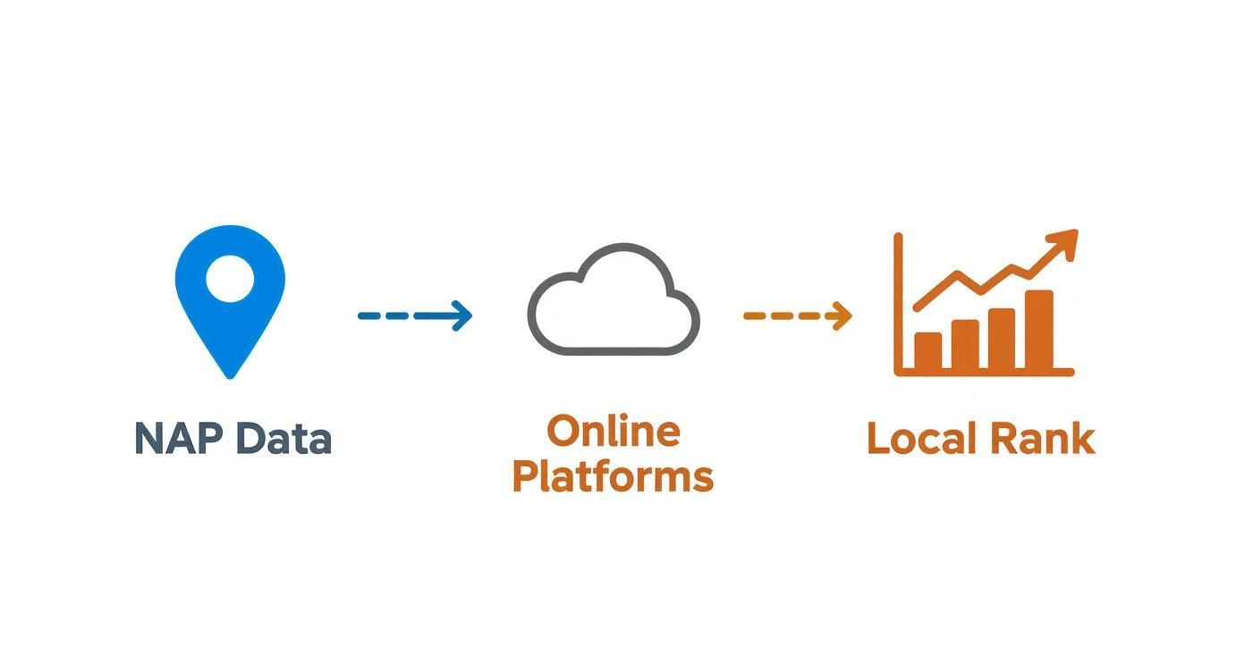 Flow diagram showing NAP data connecting to online platforms leading to improved local rank