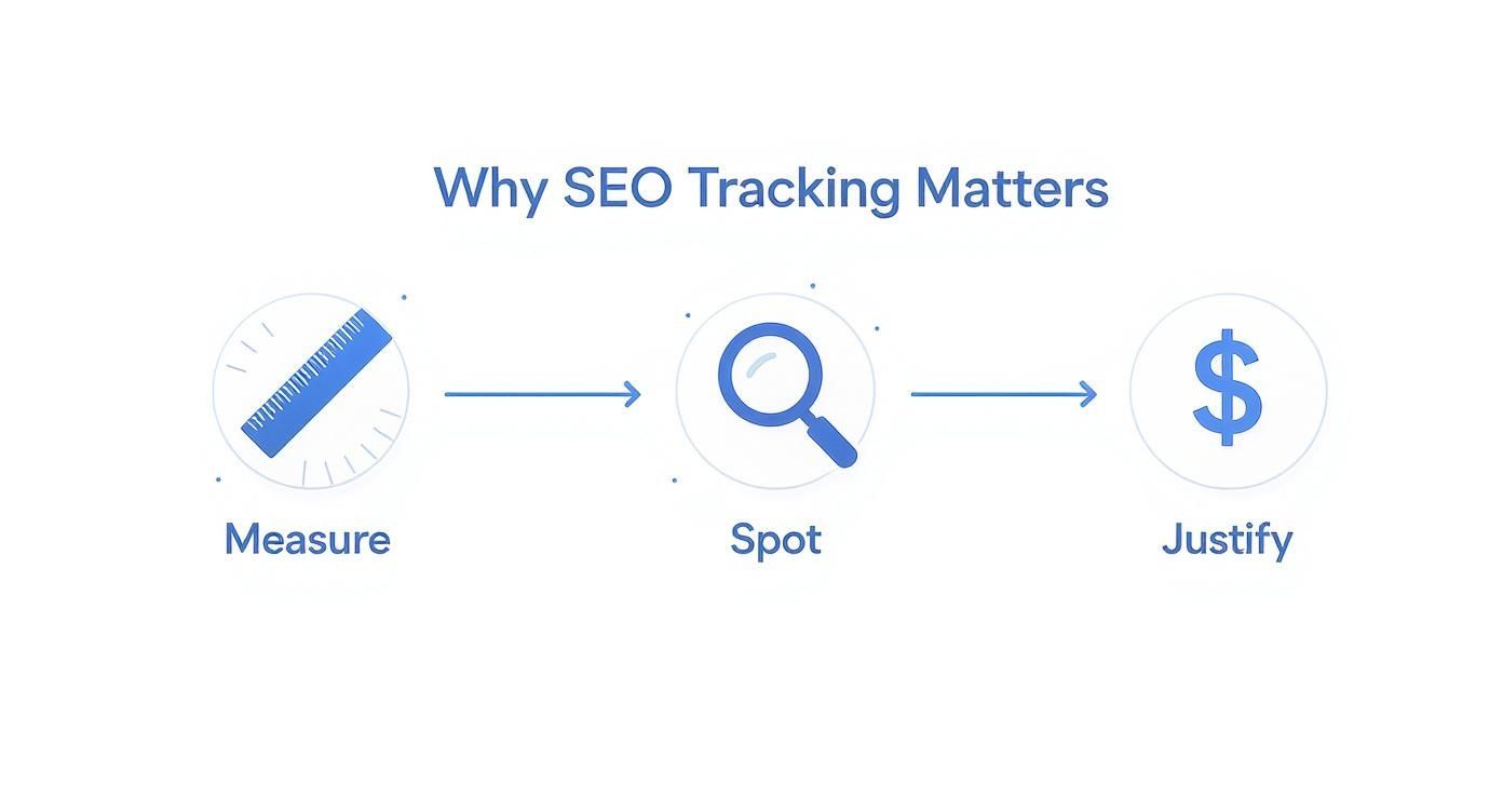 Infographic about how to track seo rankings