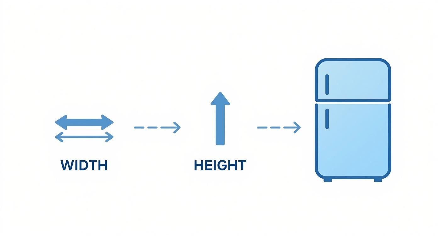Infographic about under the counter refrigerator dimensions