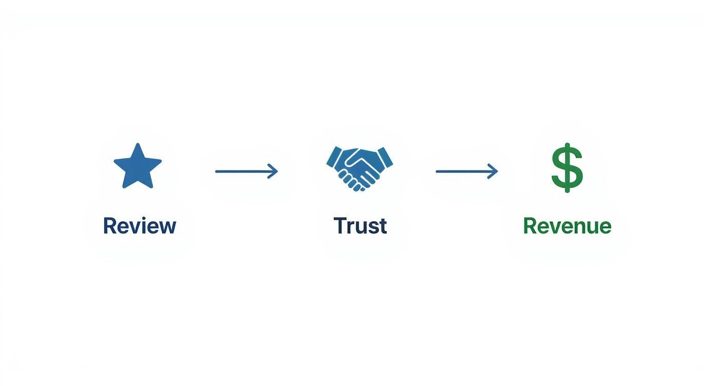 Infographic showing the process flow from a positive review leading to increased customer trust and then to higher business revenue.