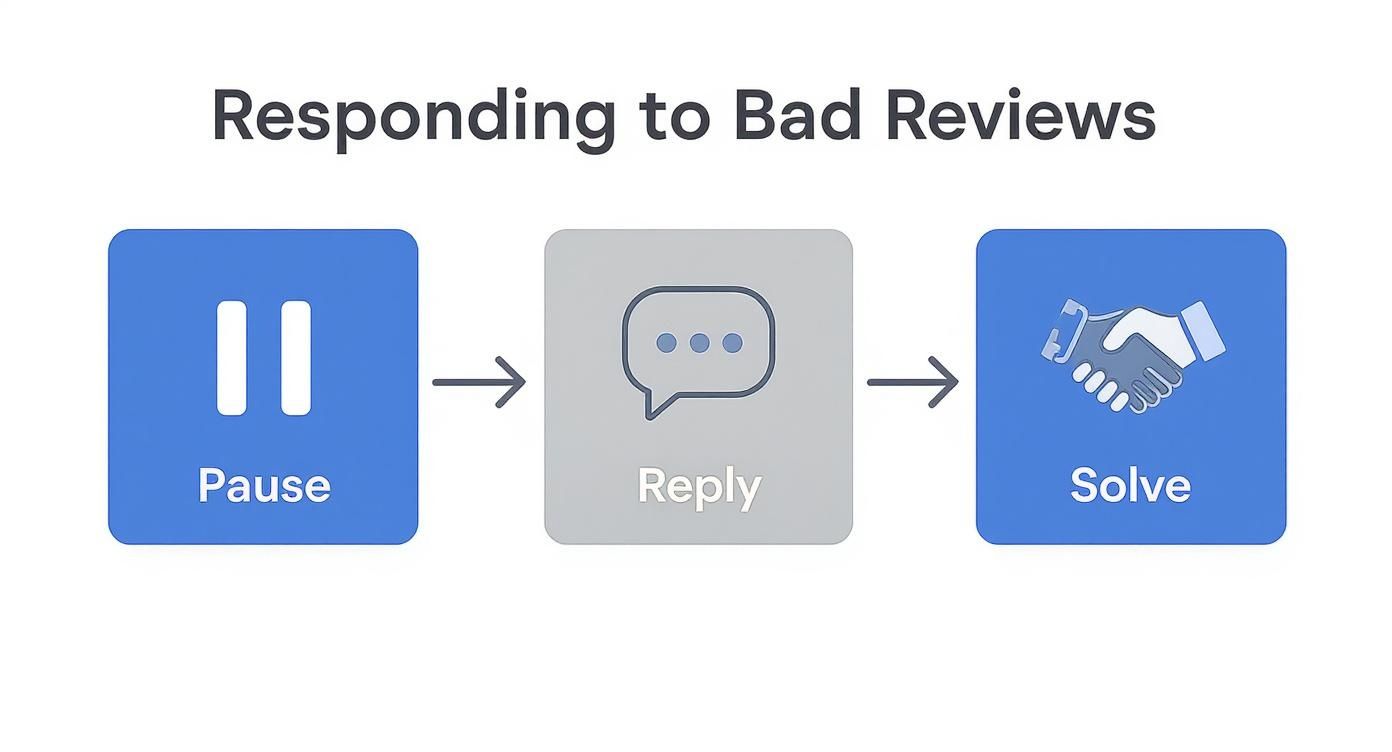 Infographic about how to respond to a negative google review