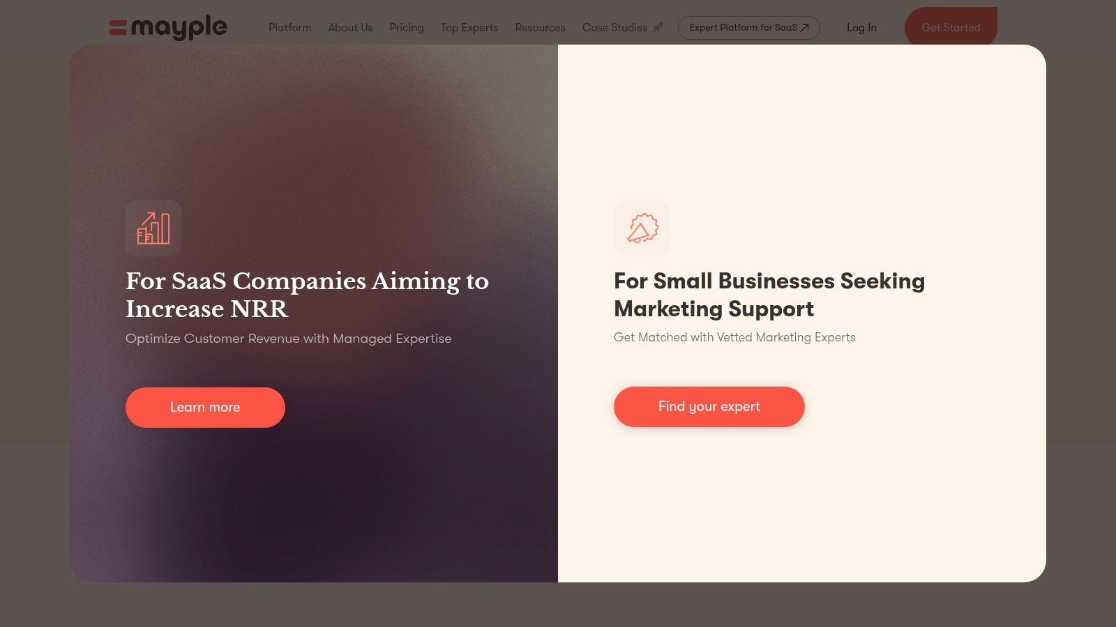 A screenshot of the Mayple website showing its various service offerings like SEO, Paid Ads, and Email Marketing in a clean, card-based layout.