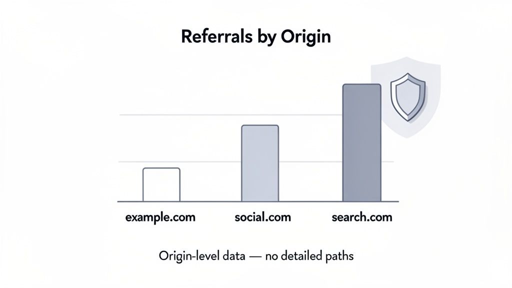 Bar chart showing website referrals by origin: example.com, social.com, and search.com, with search.com having the most referrals.