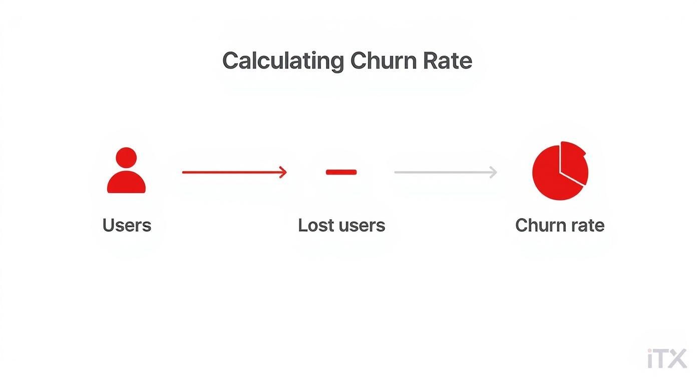 Infographic about calculate churn rate
