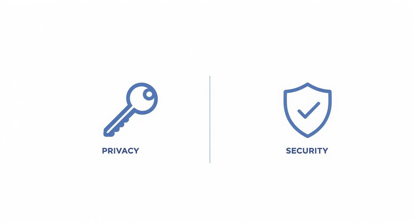 Infographic about privacy vs security