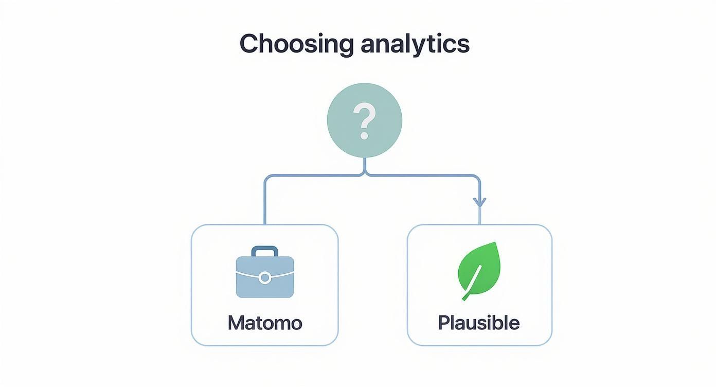 Infographic decision tree showing how to choose between self-hosted analytics tools like Matomo for enterprise needs and Plausible for simpler requirements.