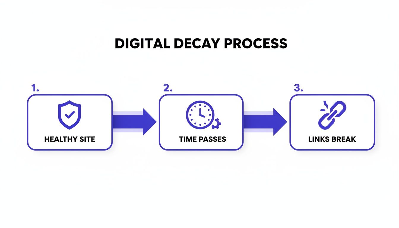 Diagram illustrating the digital decay process: healthy site, time passes, then links break.