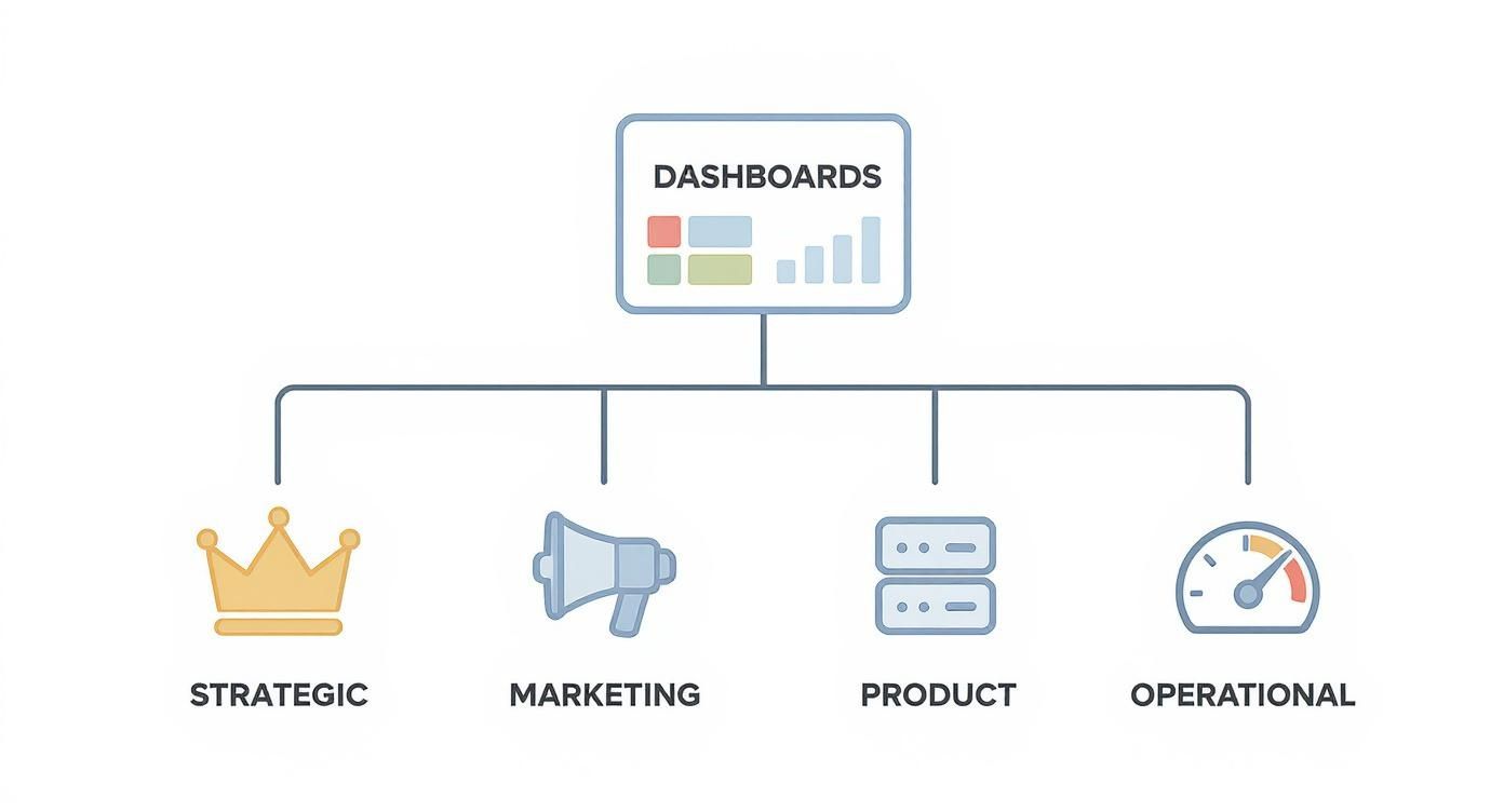 Infographic about web analytics dashboards