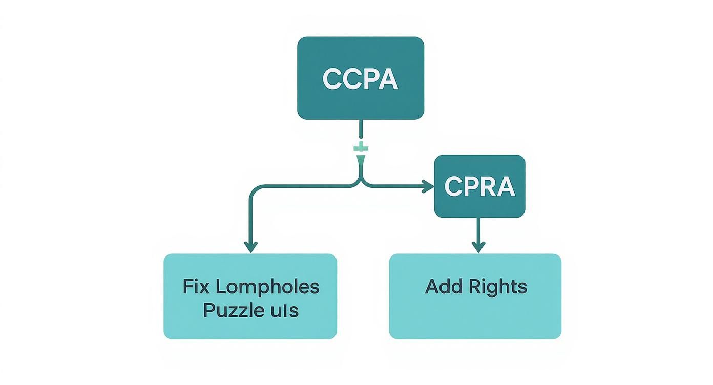 Infographic about ccpa vs cpra