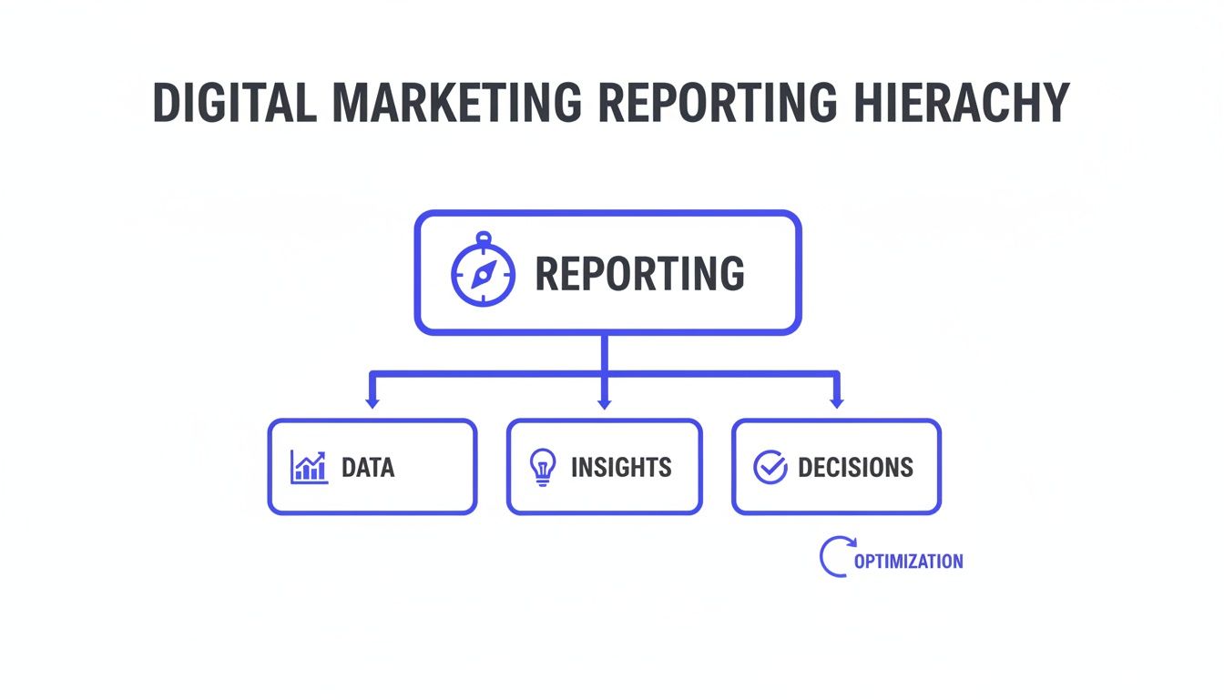 A diagram outlining the Digital Marketing Reporting Hierarchy: Reporting, Data, Insights, Decisions, and Optimization.