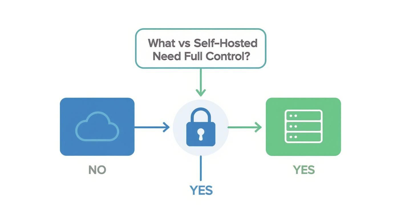 An infographic decision tree asking 'Need Full Control?'. The 'No' path leads to a cloud icon for hosted analytics, while the 'Yes' path leads to a server icon for self-hosted analytics.