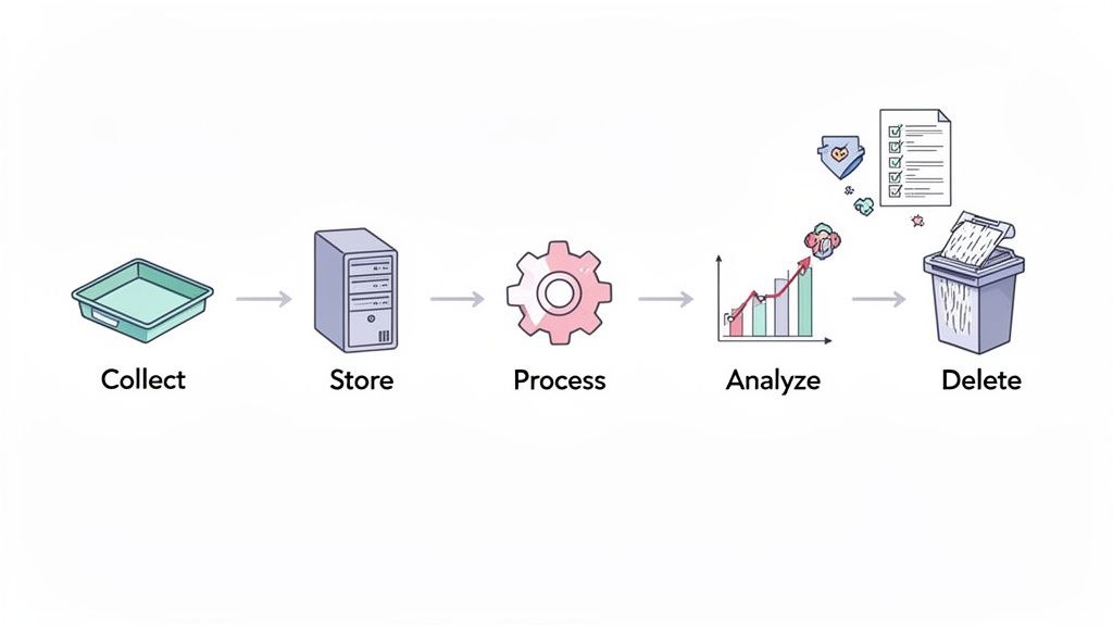 A diagram illustrating the five stages of the data lifecycle: collect, store, process, analyze, and delete.