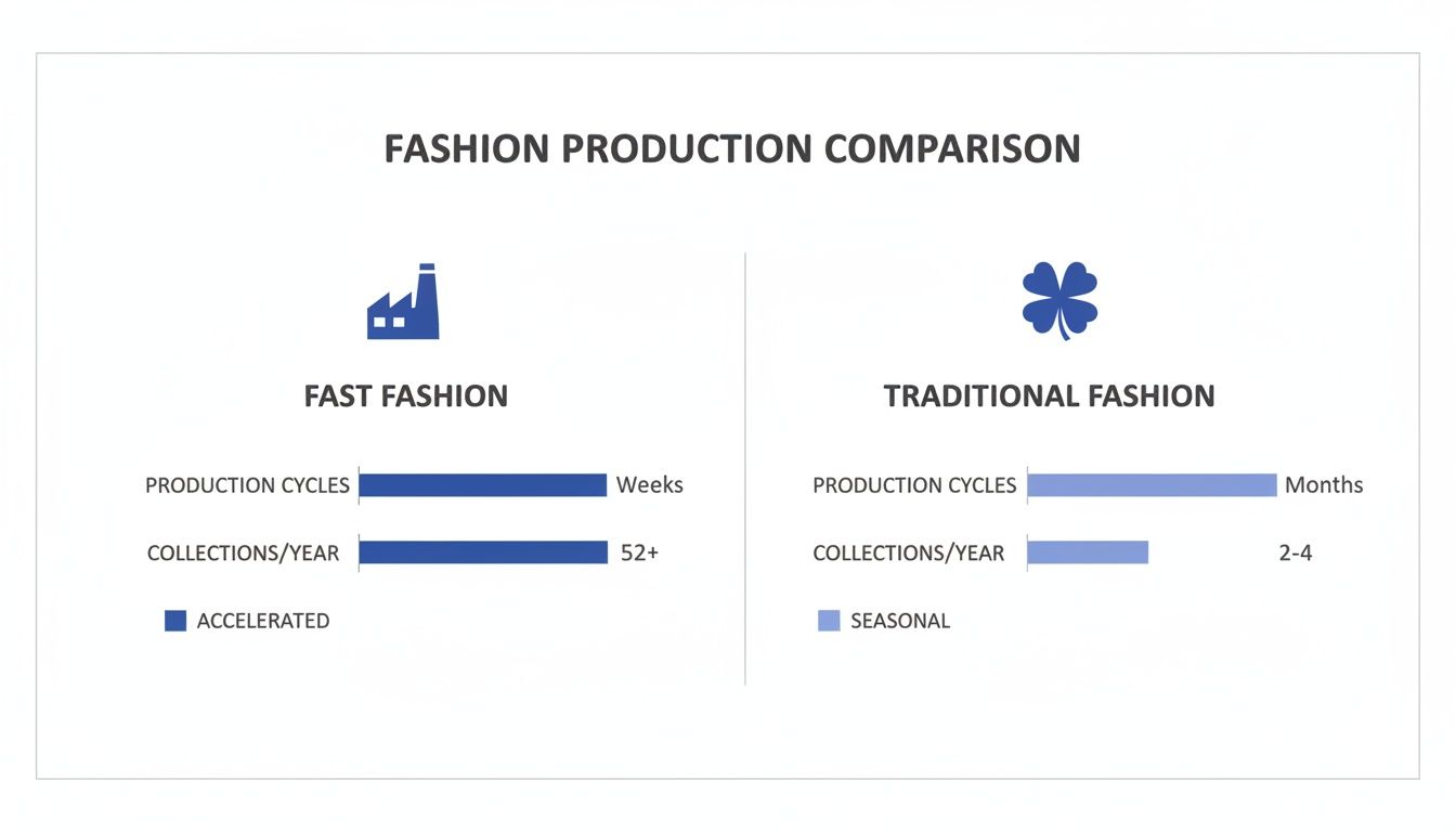 A comparison chart showing production cycles and collections per year for fast fashion versus traditional fashion.