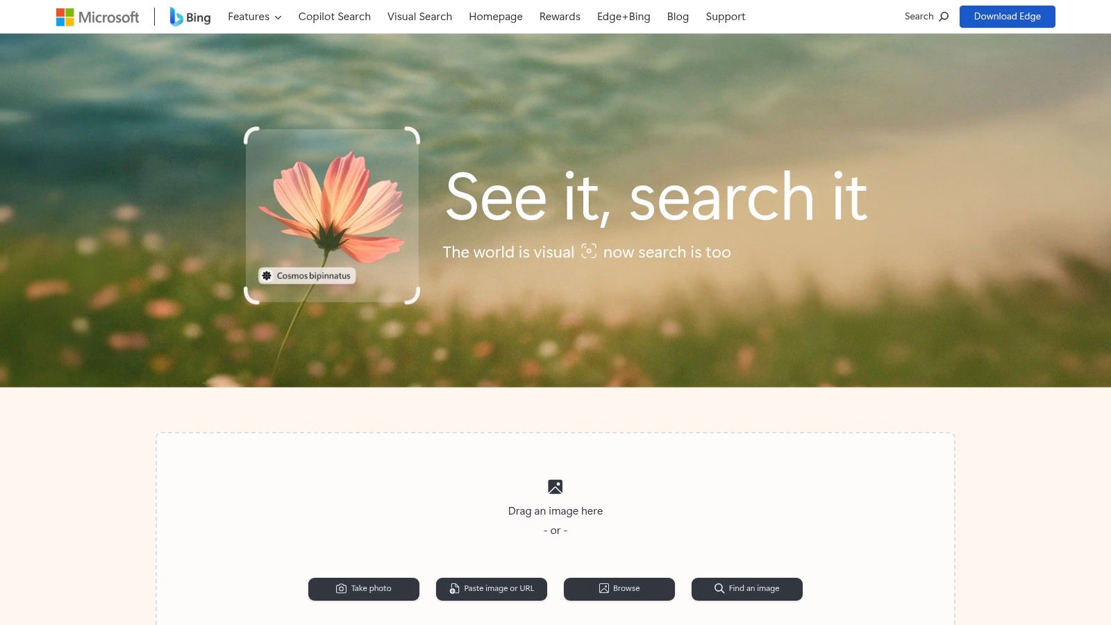 Microsoft Bing Visual Search
