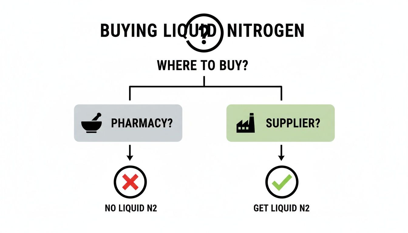 A flowchart showing where to buy liquid nitrogen, indicating suppliers as the correct source and pharmacies as incorrect.