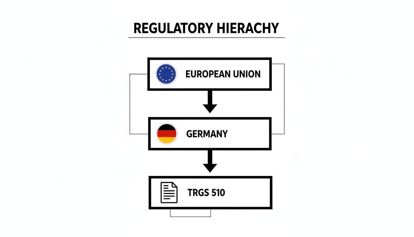 Flowchart showing a regulatory hierarchy from the European Union to Germany, down to TRGS 510.