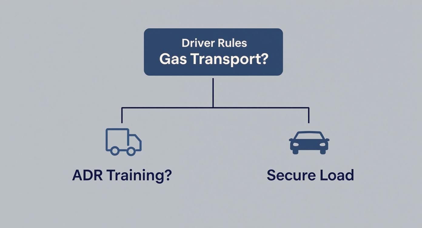 Flowchart showing driver rules for gas transport requiring ADR training and secure load