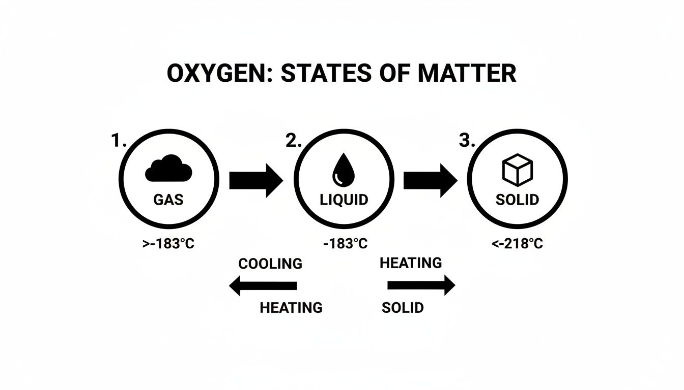 Diagram illustrating oxygen's states of matter: gas, liquid, solid, with temperature ranges and phase transitions.