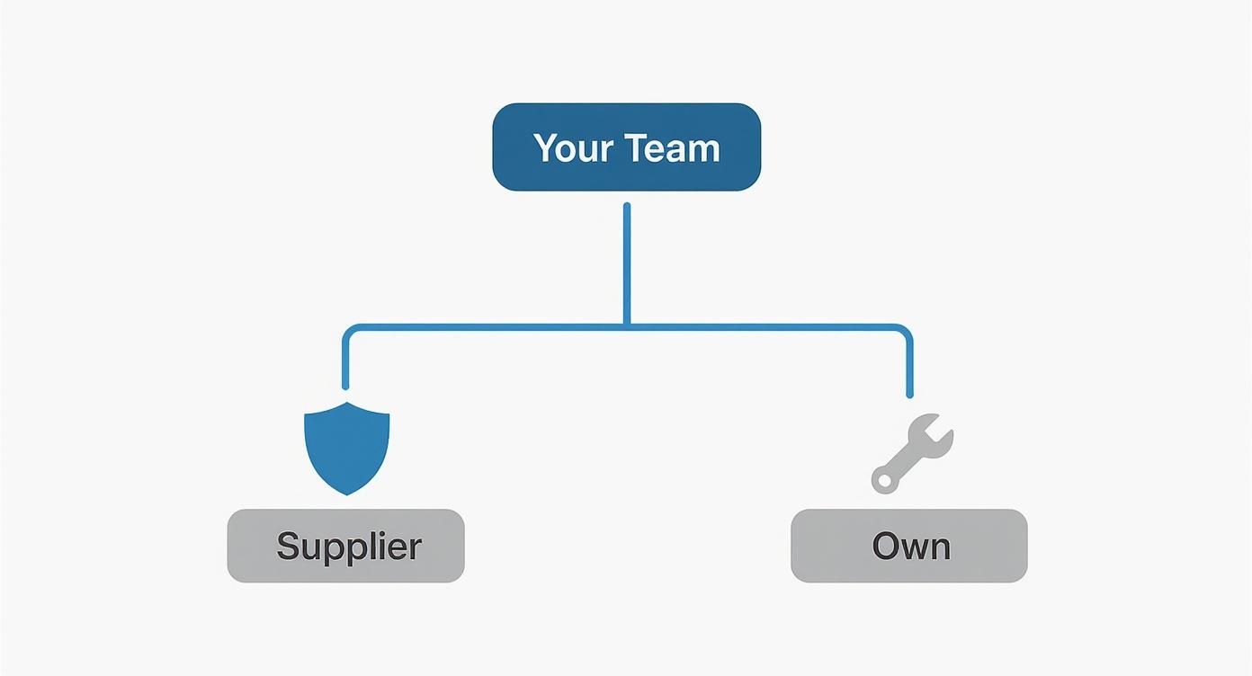 Diagram showing 'Your Team' deciding between 'Supplier' (shield icon) and 'Own' (wrench icon) options.