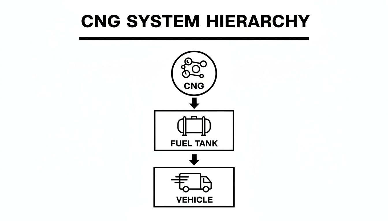 A simple black and white hierarchy diagram illustrating the CNG system from source to vehicle.