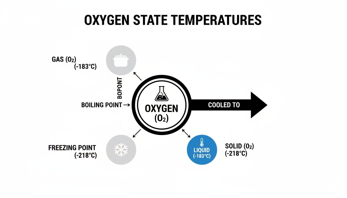 Diagram illustrating oxygen's boiling point (-183°C) and freezing point (-218°C) for gas, liquid, and solid states.
