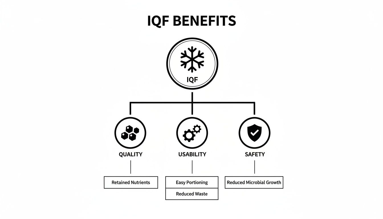 Diagram illustrating the benefits of IQF, including enhanced quality, usability, and safety features.