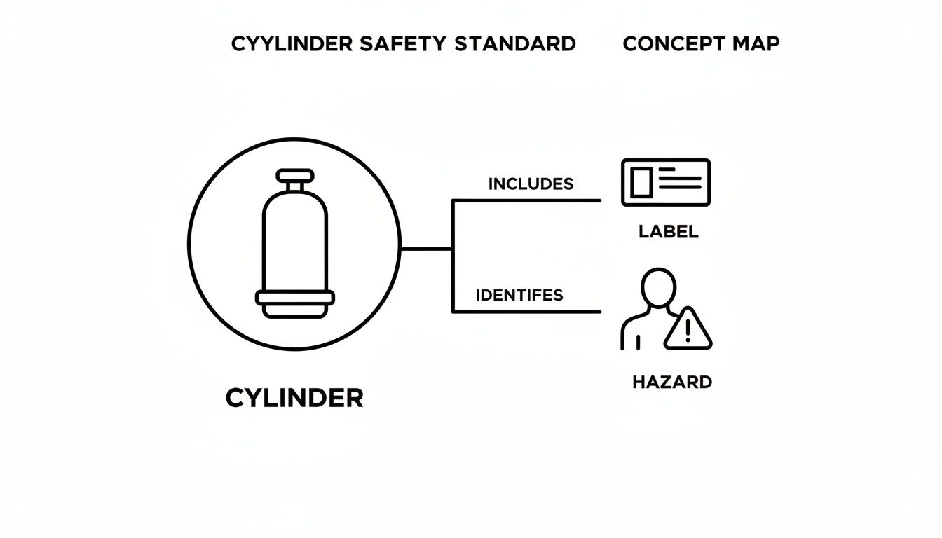 A concept map illustrating cylinder safety standards, showing a cylinder linked to its label and identified hazards.