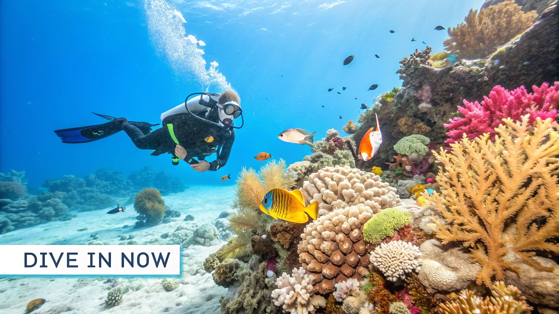 Divers preparing their scuba gear by the water's edge