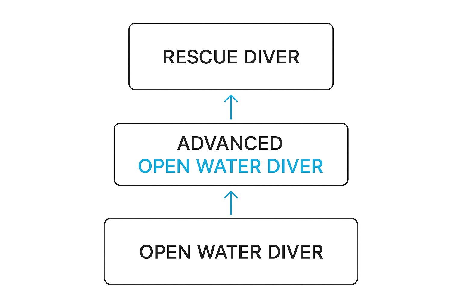 Scuba Diving Certification Goa: Your Complete Training Guide 4 Infographic showing the hierarchy of scuba diving certification levels from Open Water to Rescue Diver.
