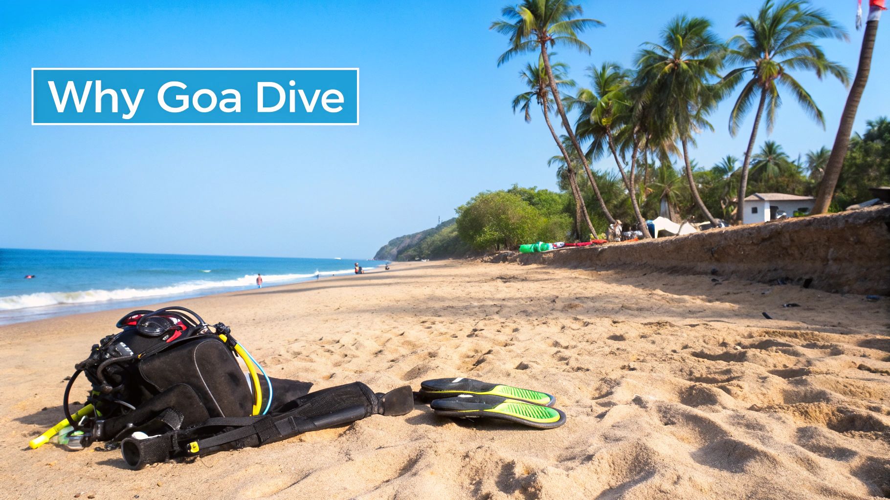 Scuba Diving Certification Goa: Your Complete Training Guide 3 A scuba diver exploring the vibrant underwater world near Goa.