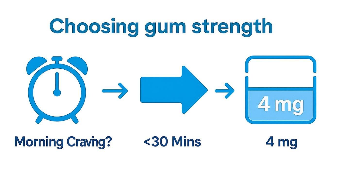 Infographic about nicotine gum usage